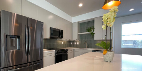 20-041 Kitchen 2 - Crop